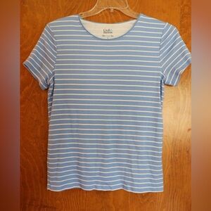 Croft & Barrow Blue and White Fitted Short Sleeve Tee